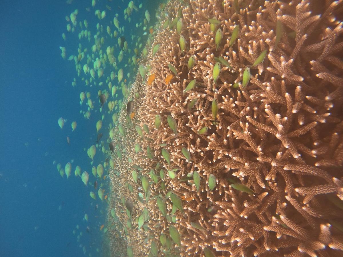 Maringo Cottage Gili Trawangan Dış mekan fotoğraf