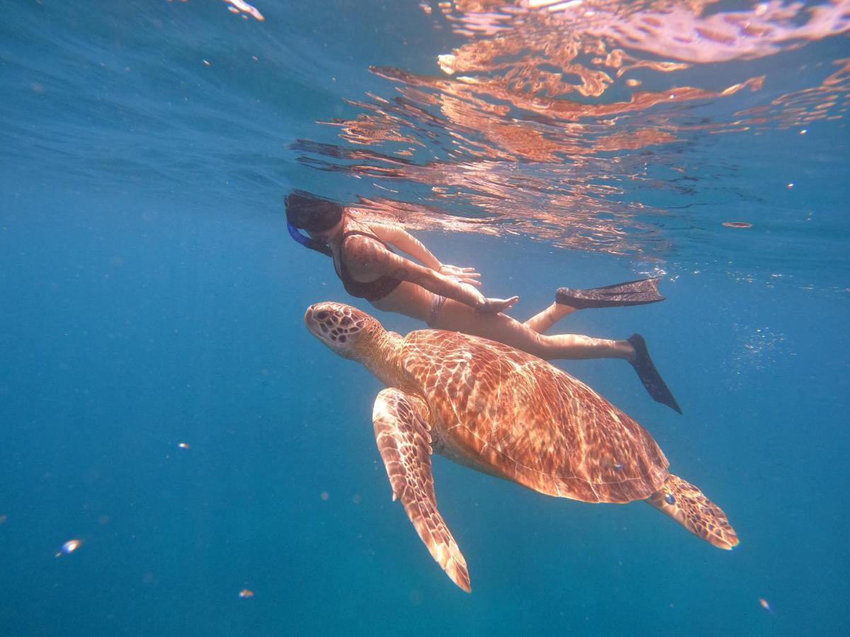 Maringo Cottage Gili Trawangan Dış mekan fotoğraf