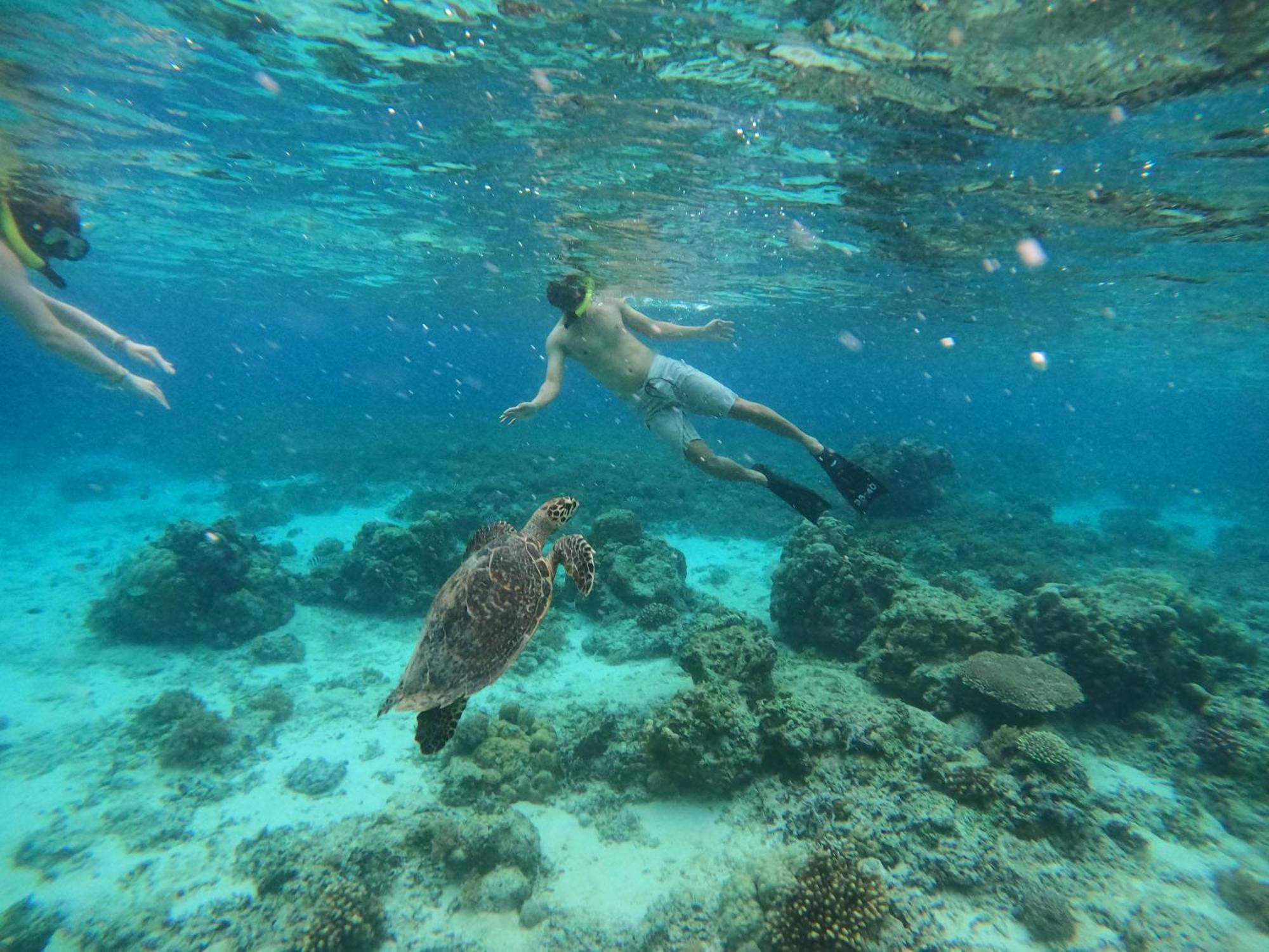 Maringo Cottage Gili Trawangan Dış mekan fotoğraf