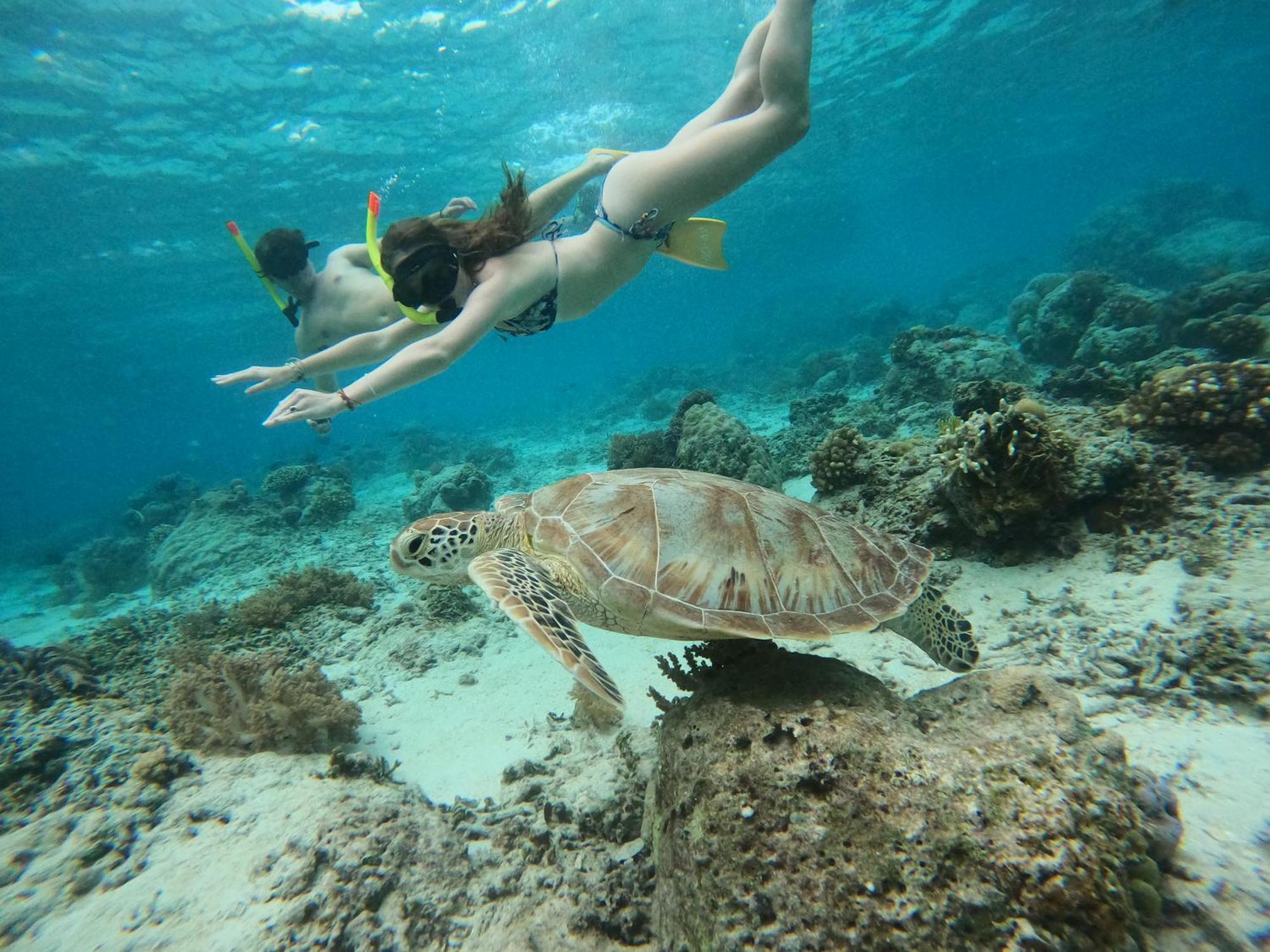 Maringo Cottage Gili Trawangan Dış mekan fotoğraf